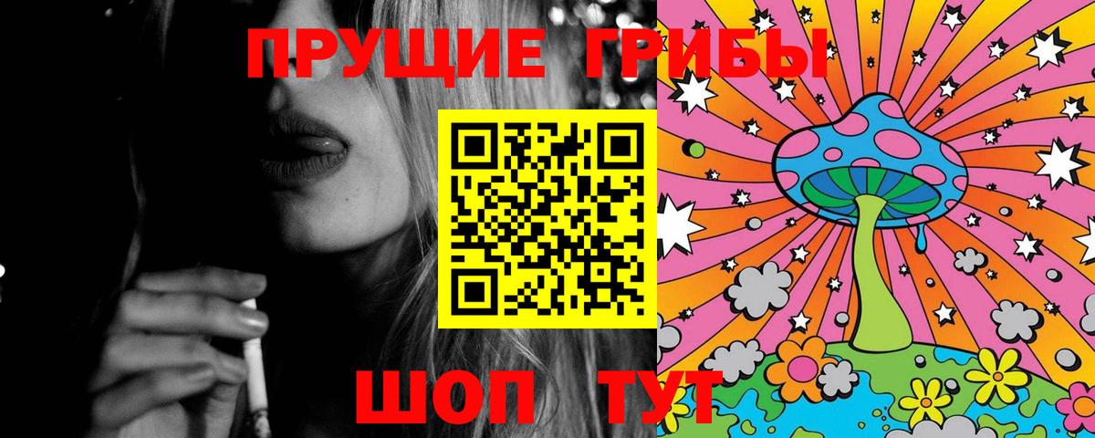 Галлюциногенные грибы Psilocybe Феодосия