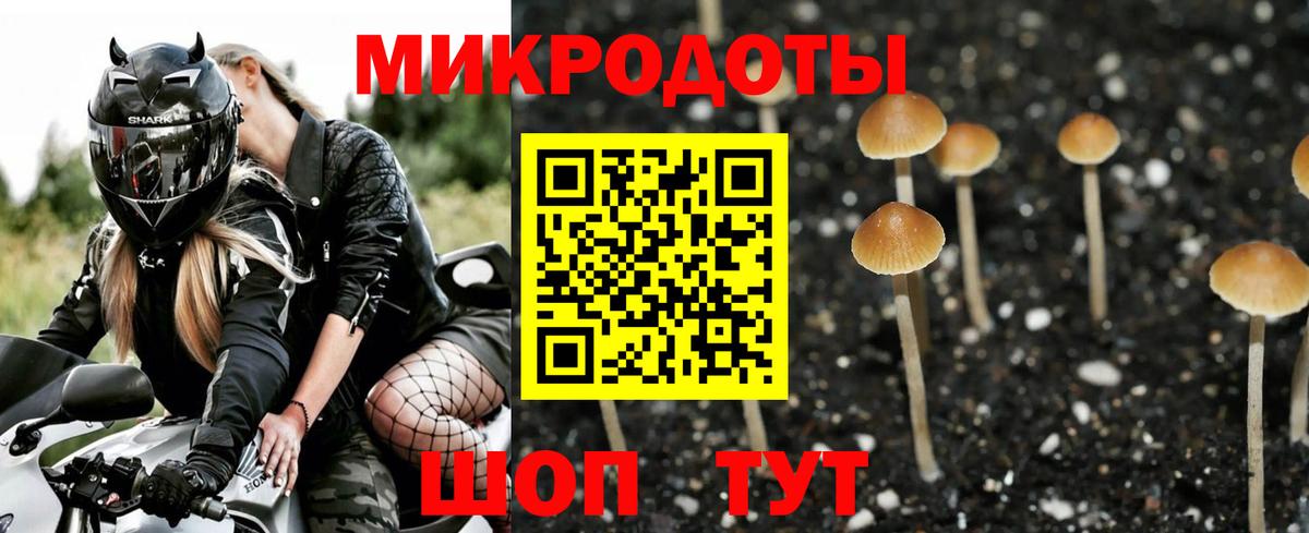 Феодосия  Псилоцибиновые грибы мицелий  Псилоцибиновые грибы Psilocybine cubensis  Вход с VPN 